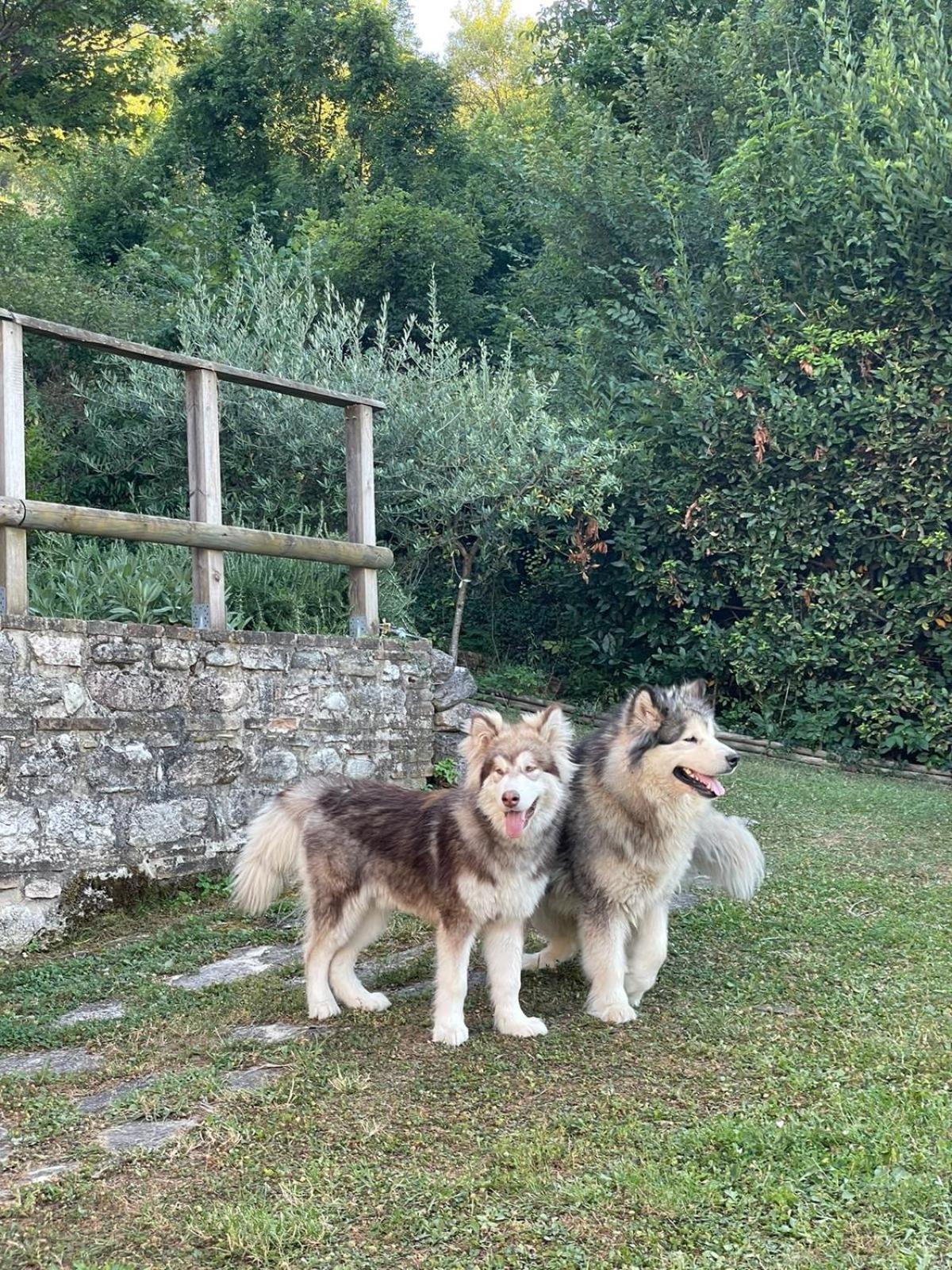 Maison En Pierre Fiastra Esterno foto