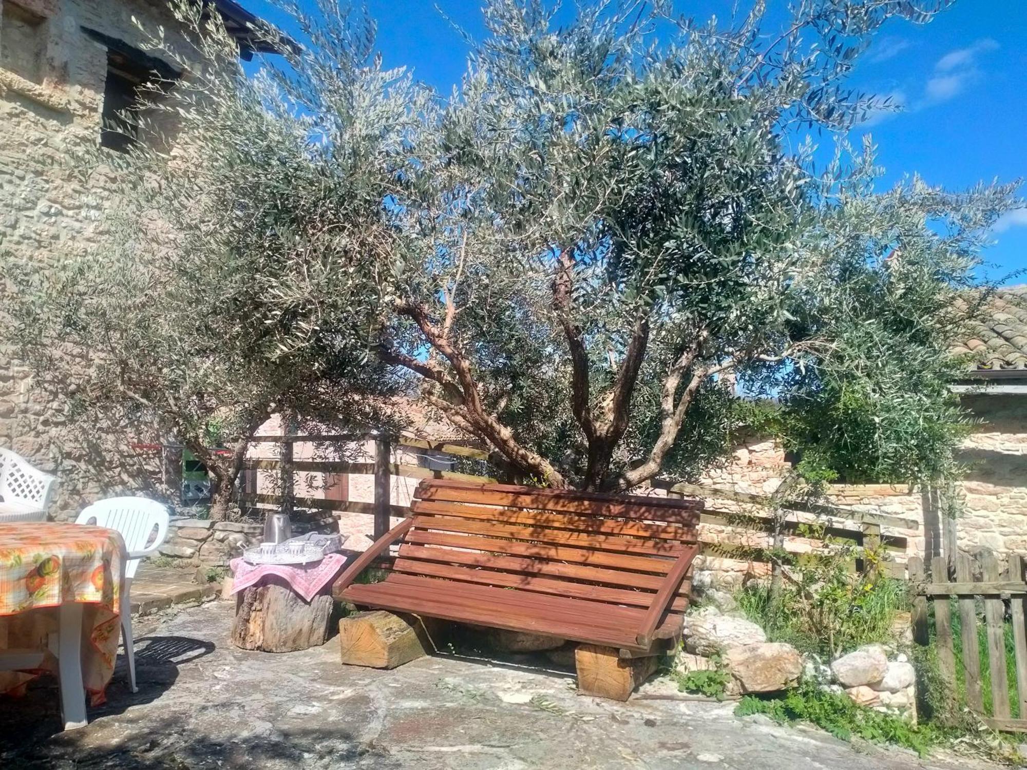 Maison En Pierre Fiastra Camera foto
